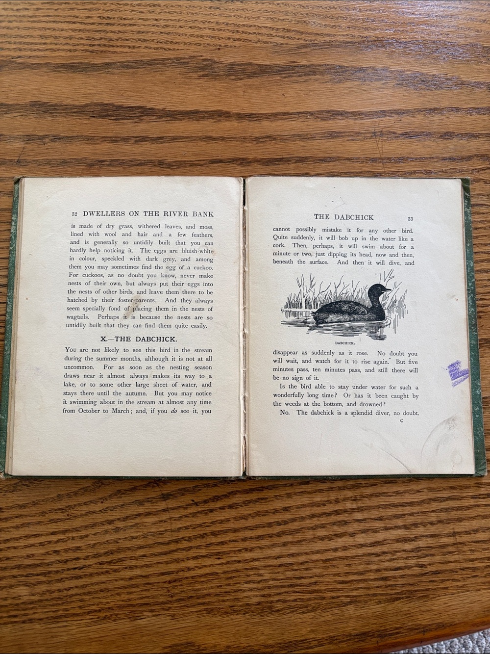 Vintage Bird Book “Dwellers on the River Banks” - Picture 6 of 12
